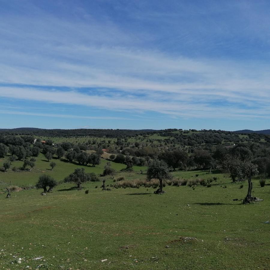 فيلا Casa Do Cabeco - Termas Da Sulfurea Cabeço de Vide المظهر الخارجي الصورة