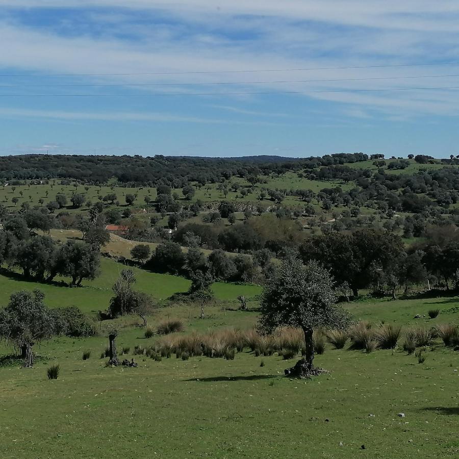 فيلا Casa Do Cabeco - Termas Da Sulfurea Cabeço de Vide المظهر الخارجي الصورة